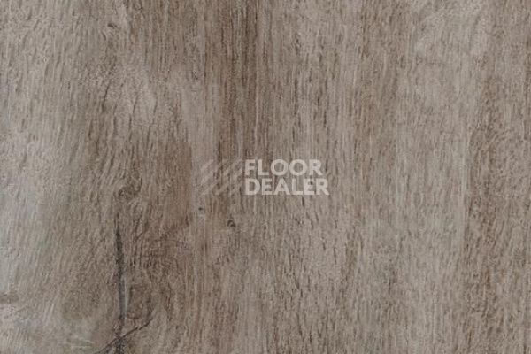 Виниловая плитка ПВХ FORBO Allura Decibel 8WHA02-3WHA02 dusky harvest oak фото 1 | FLOORDEALER